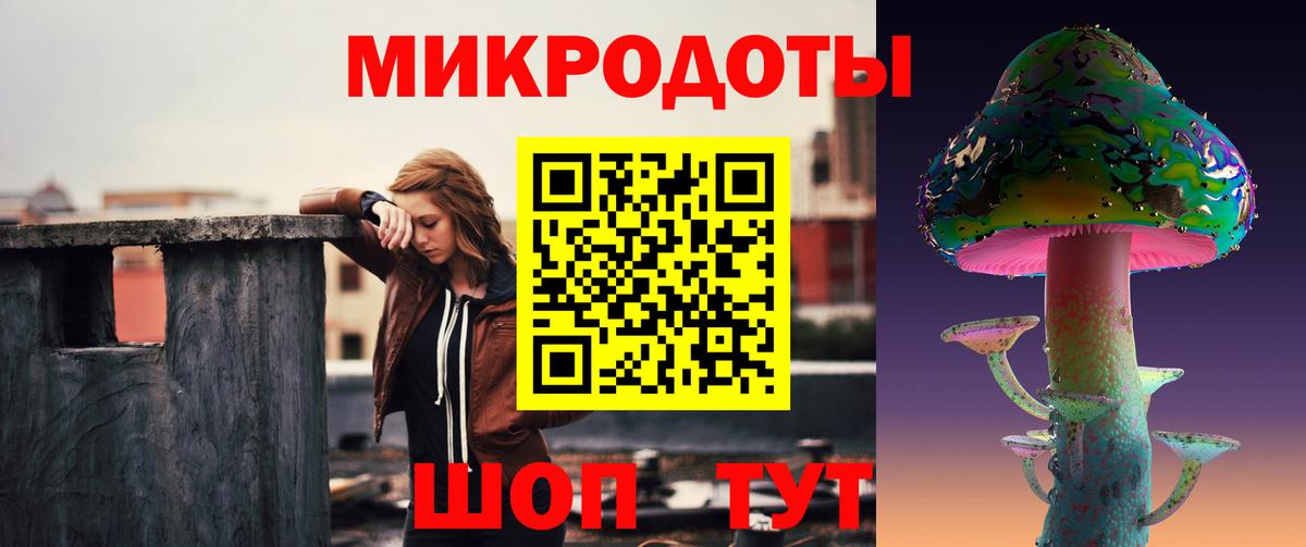 Псилоцибиновые грибы Cubensis Минусинск