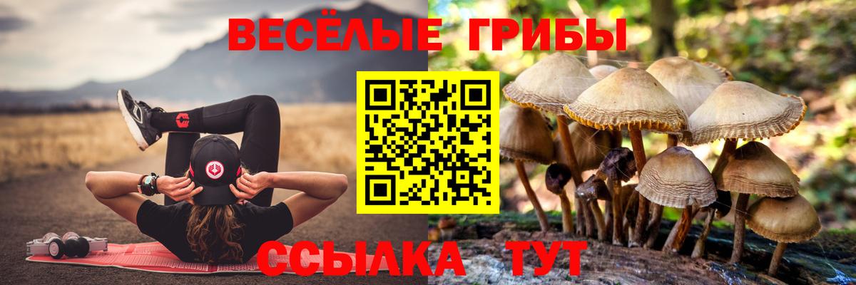 Минусинск  Псилоцибиновые грибы Psilocybine cubensis  Вход с VPN  Псилоцибиновые грибы Magic Shrooms 